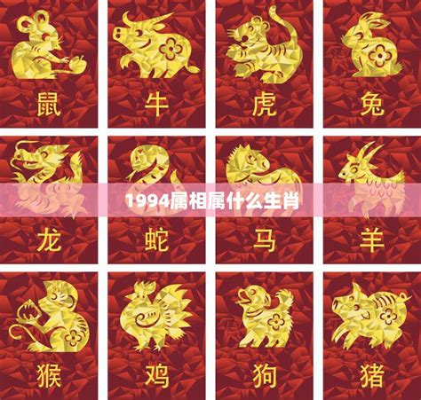 94年生肖|1994出生属什么生肖查询，1994多大年龄，1994今年几岁